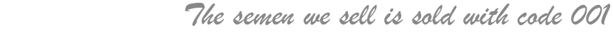 Slogan